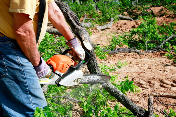 Residential Tree Removal in Marengo, IL